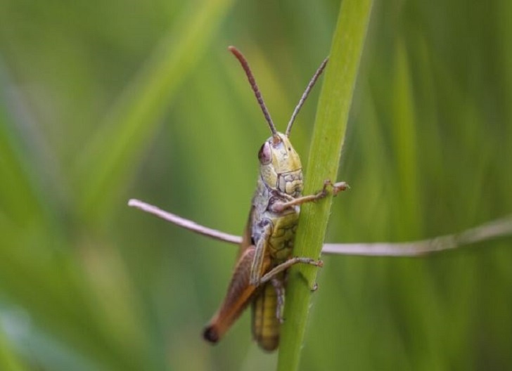    Источник: Freepik