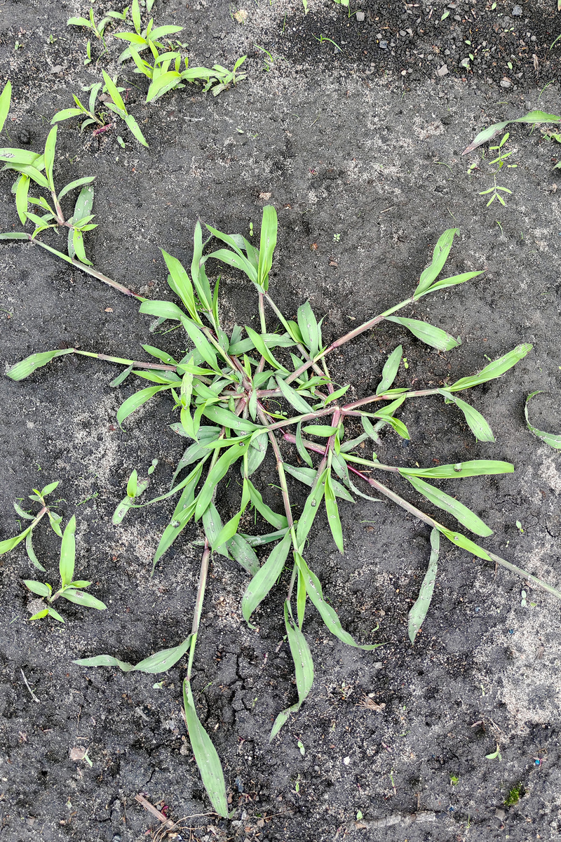 В галерее несколько фото, листайте