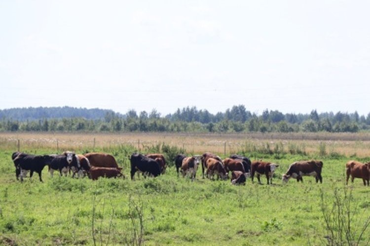    Фото: Минсельхоз Нижегородской области