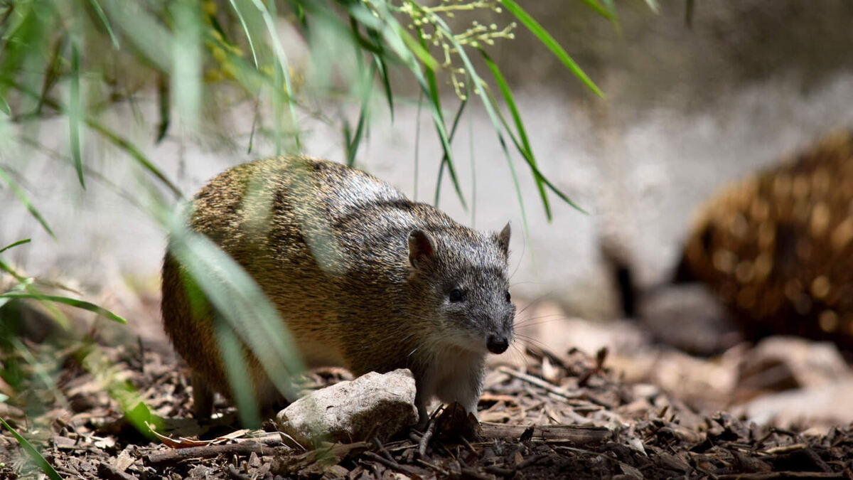     Фото: Susan Flashman/Shutterstock/FOTODOM