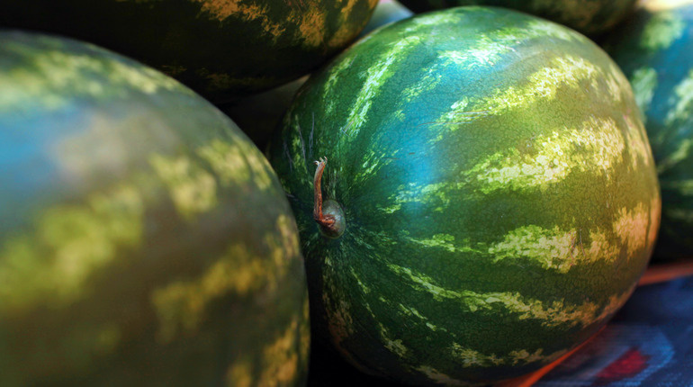    Фото: Baltphоto/ Дарья Иванова