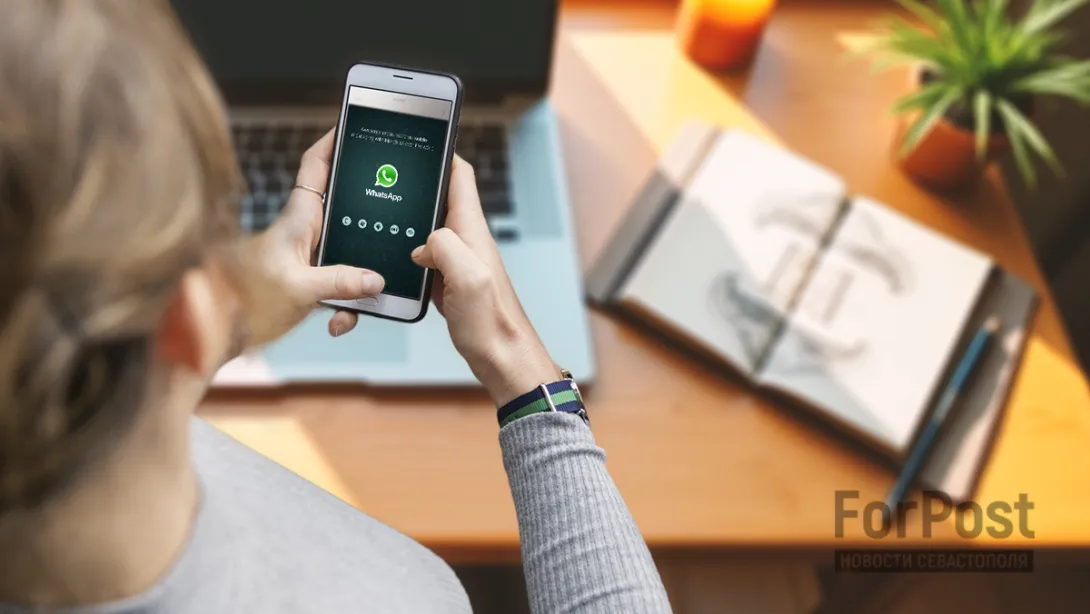 Фото:
Коллаж Арина Розанова / ForPost