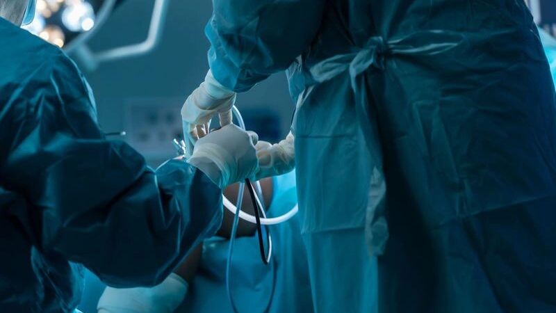    Фото: Ekkasit A Siam/Shutterstock/Fotodom