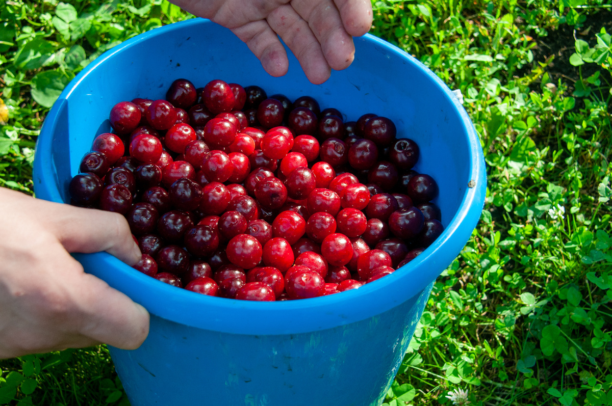 Фото: © Svetlana Vozmilova/ Global Look Press