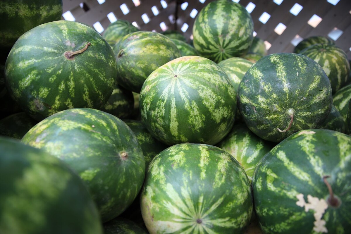     / Источник: © ИЗВЕСТИЯ/Зураб Джавахадзе