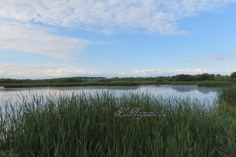Вид на озеро