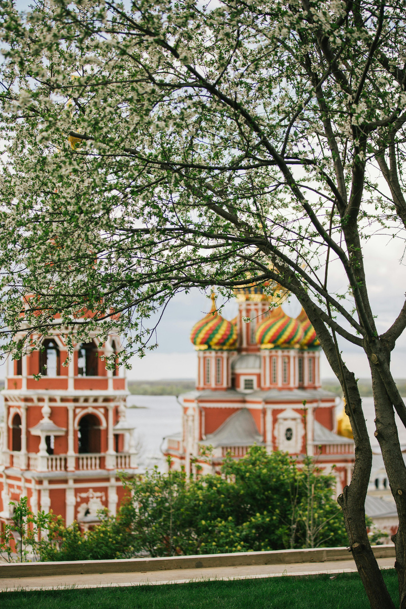 Фотограф: Алексей Сулла: https://www.pexels.com/ru-ru/photo/12187621/