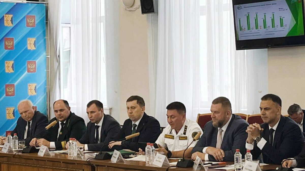 Фото: © Пресс-служба лесного хозяйства РТ