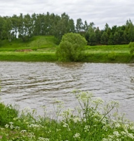 Картинка из интернета 