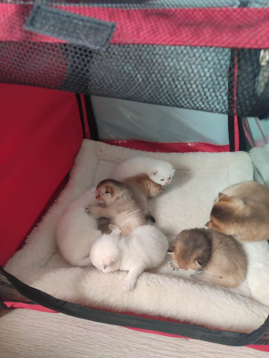 Открыли глазки