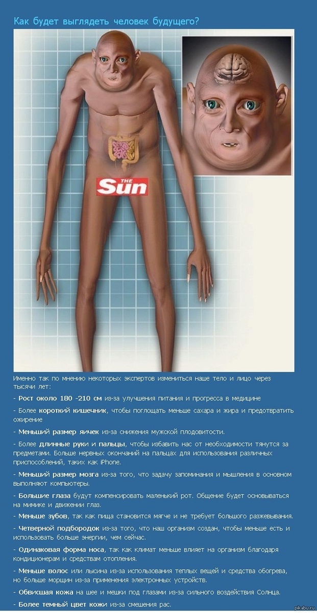 Хорошо, что я до такого внучка не доживу. Из открытых источников сети интернет