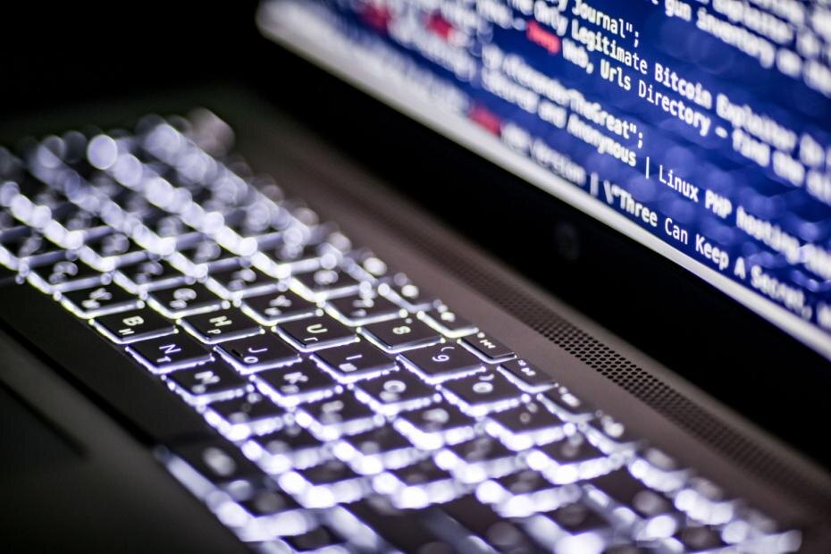    Сергей Лантюхов/NEWS.ru