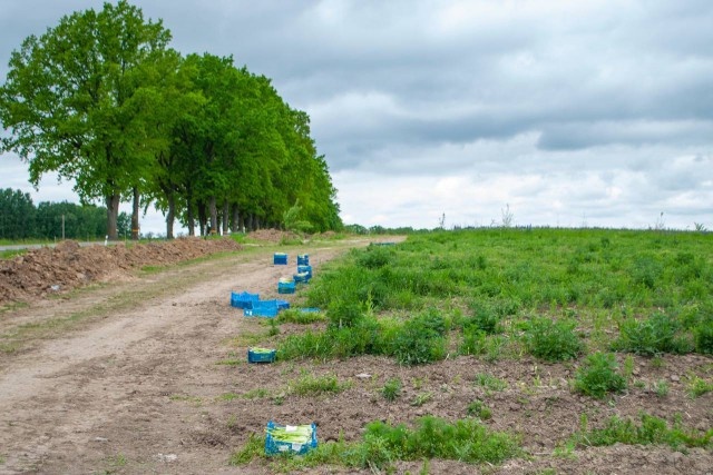   Фото из архива Калининград.Ru