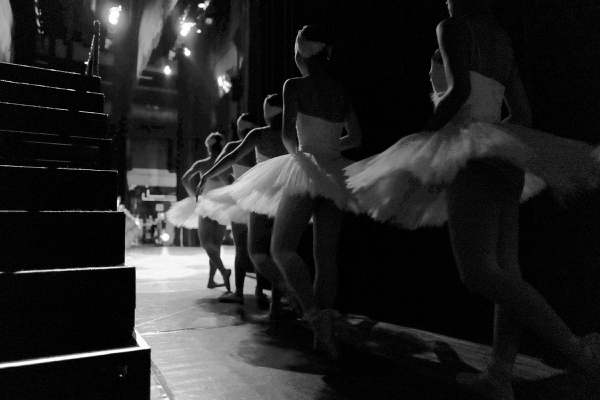 Фото: Kazuo ota/ Unsplash