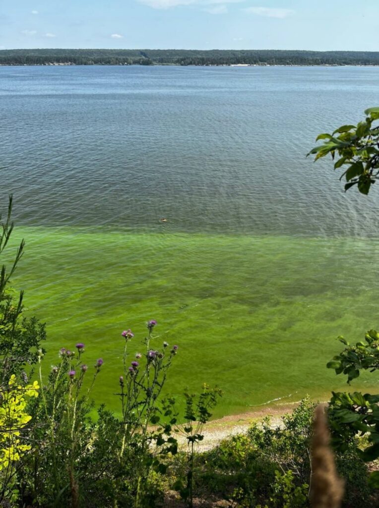 Фото из соцсетей