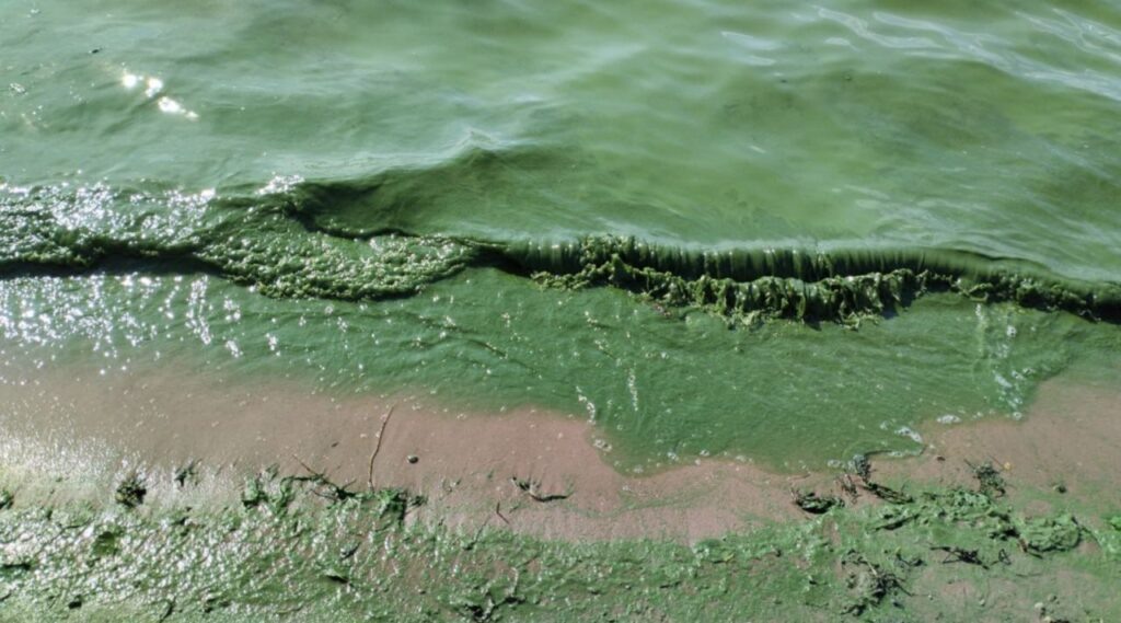 Фото из соцсетей