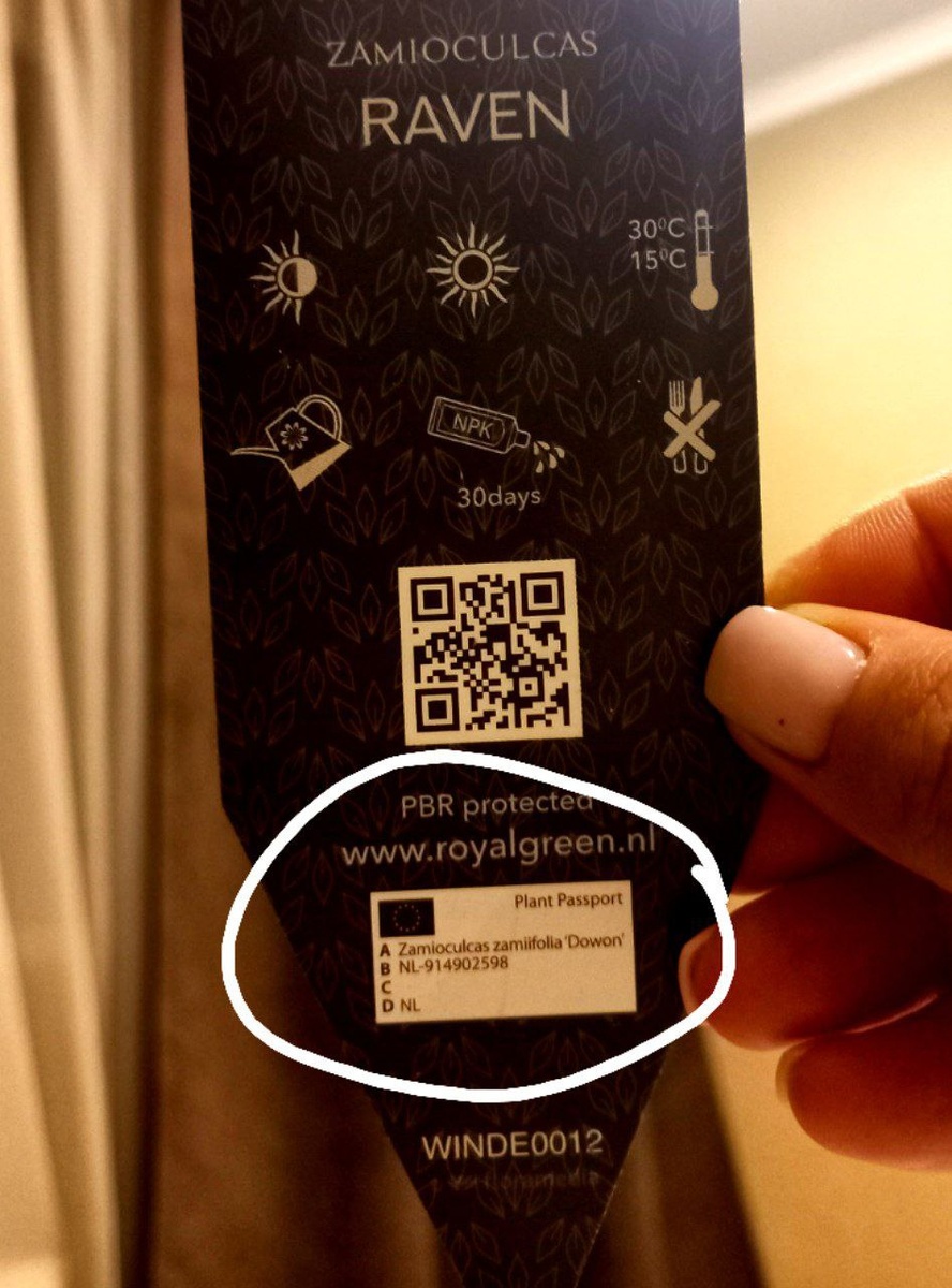 Этикетка Замиокулькаса Равен от компании Royal Green