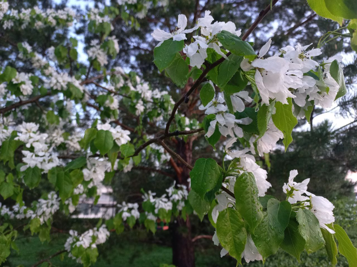 Фото автора.