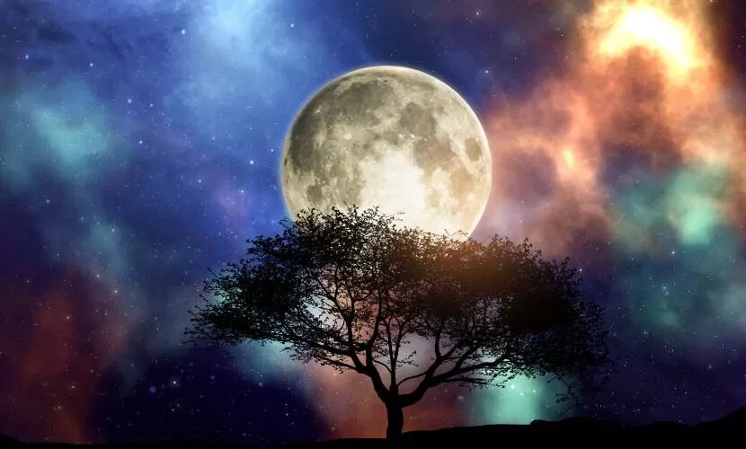 Источник: kjpargeter / freepik.com