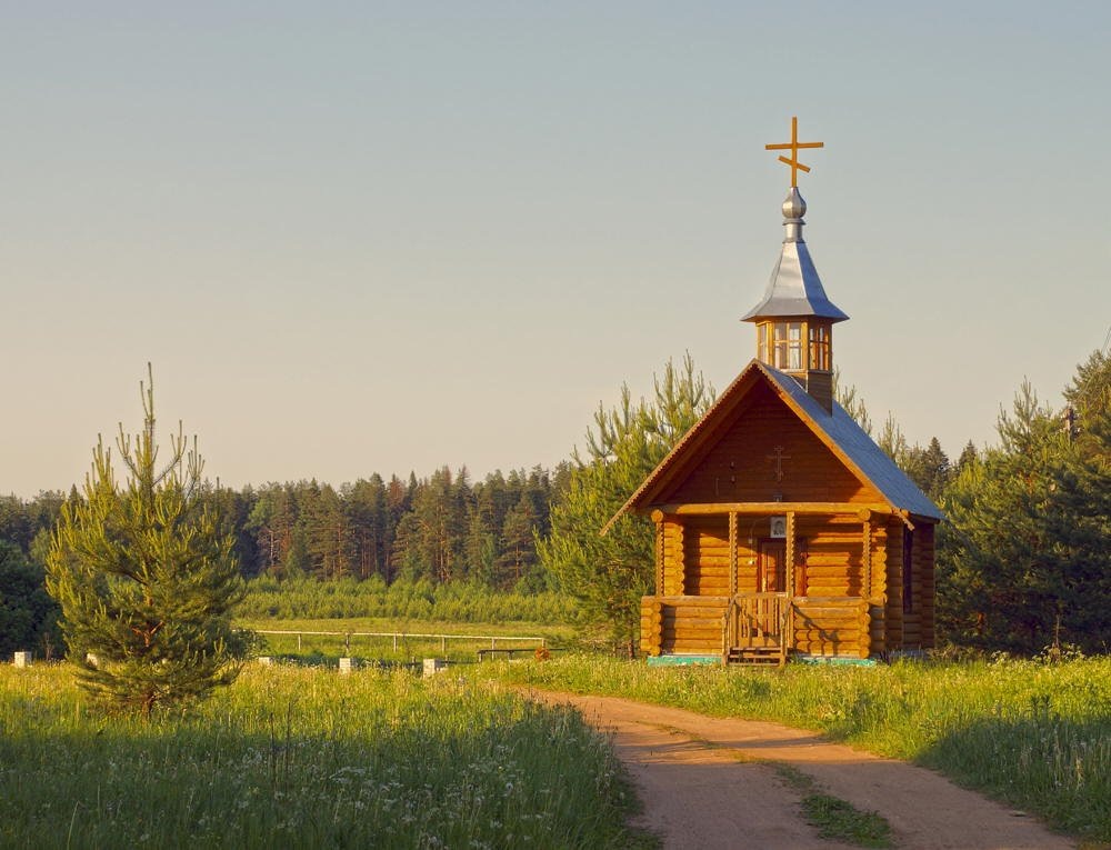 фото из открытого доступного источника сети интернет