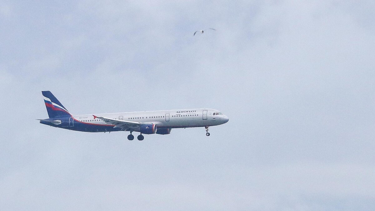    Фото: Petrov Sergey/globallookpress.com