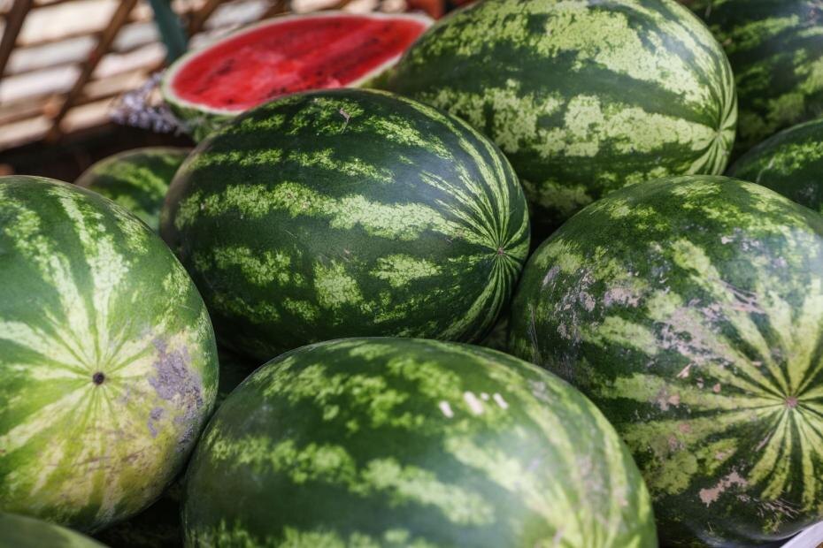    Сергей Булкин/NEWS.ru