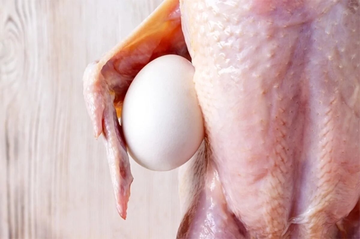    Тверские специалисты нашли смертельно опасную бактерию в фермерской курице