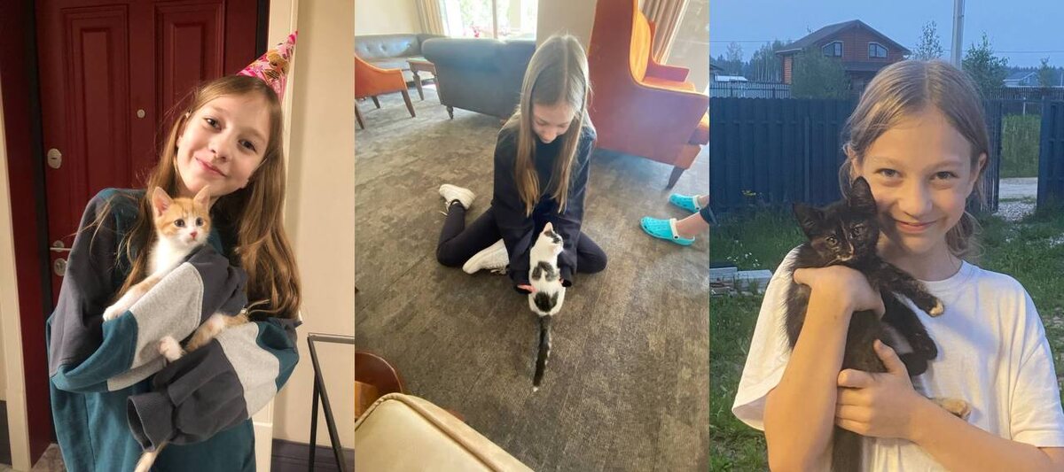 Рыжая Пеля, сейчас очень злая, просто дикая, на всех кидаеться, в том числе на меня, второй котик просто из Турции, а третья соседская Гамора, очень ласковалая, тактильная и добрая, вообще не кусаеться и не царапаеться. Все трое-котята