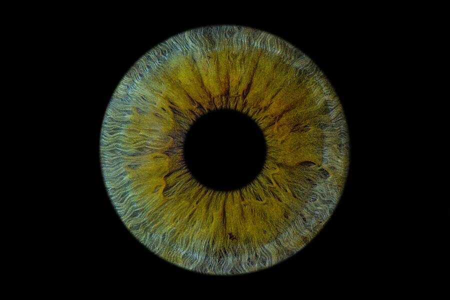 ����: Maria Maximova / Unsplash.com