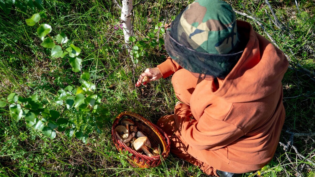    Фото: Сергей Зубков/«Ямал-Медиа»