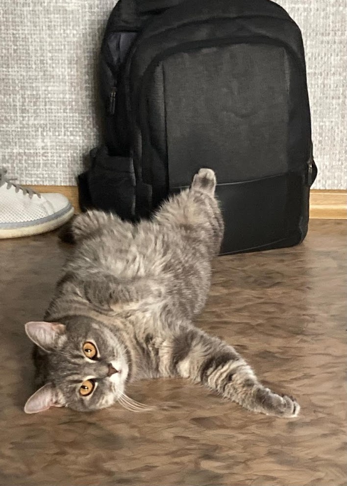 Эту фотографию сделала моя коллега Лена, когда Кася однажды осталась у них пожить на время нашего отпуска