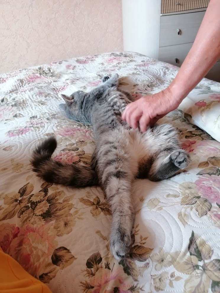 Чуть жёлтенького слева — это я примостилась на краешке 2-спальной кровати. Всё остальное место принадлежит звезде