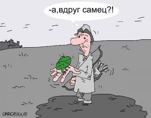 Яндекс картинки