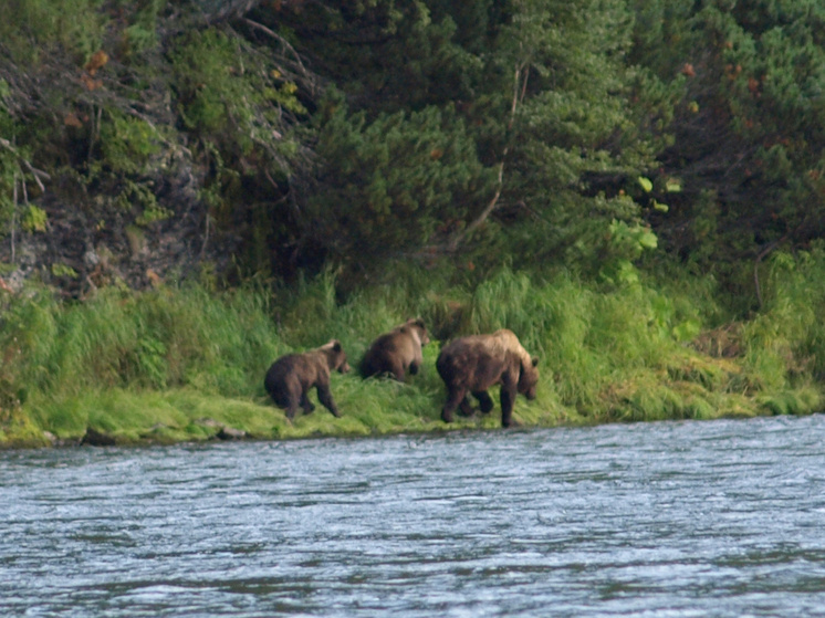   Ольга Шуклина