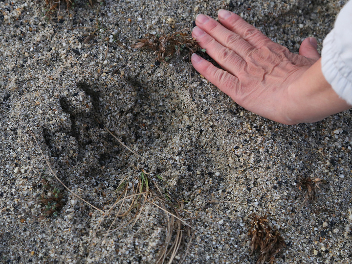   Ольга Шуклина