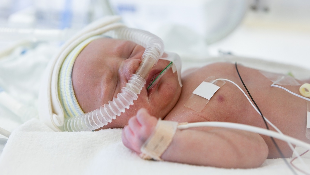 Источник https://www.gorodche.ru/wp-content/uploads/2022/05/409024d9-2.jpg