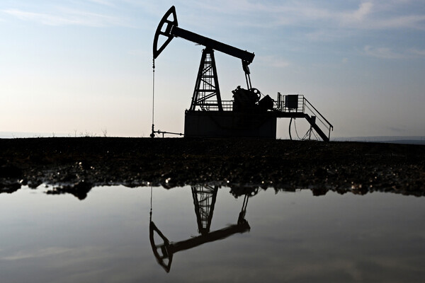 Максим Богодвид/РИА Новости 