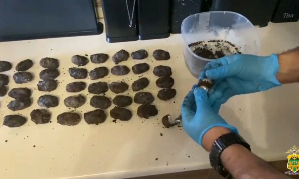    Скриншот видео t.me/mvd_23