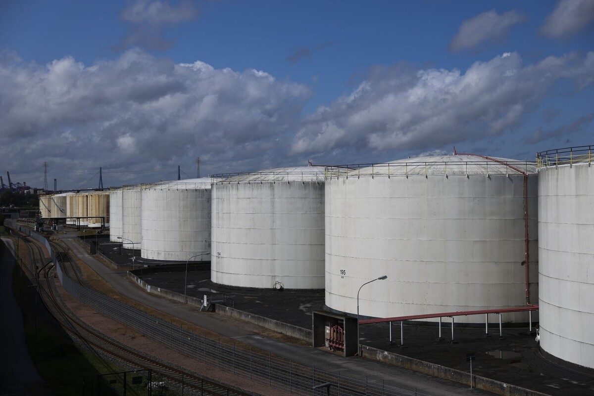     / Источник: © Christian Charisius/Global Look Press