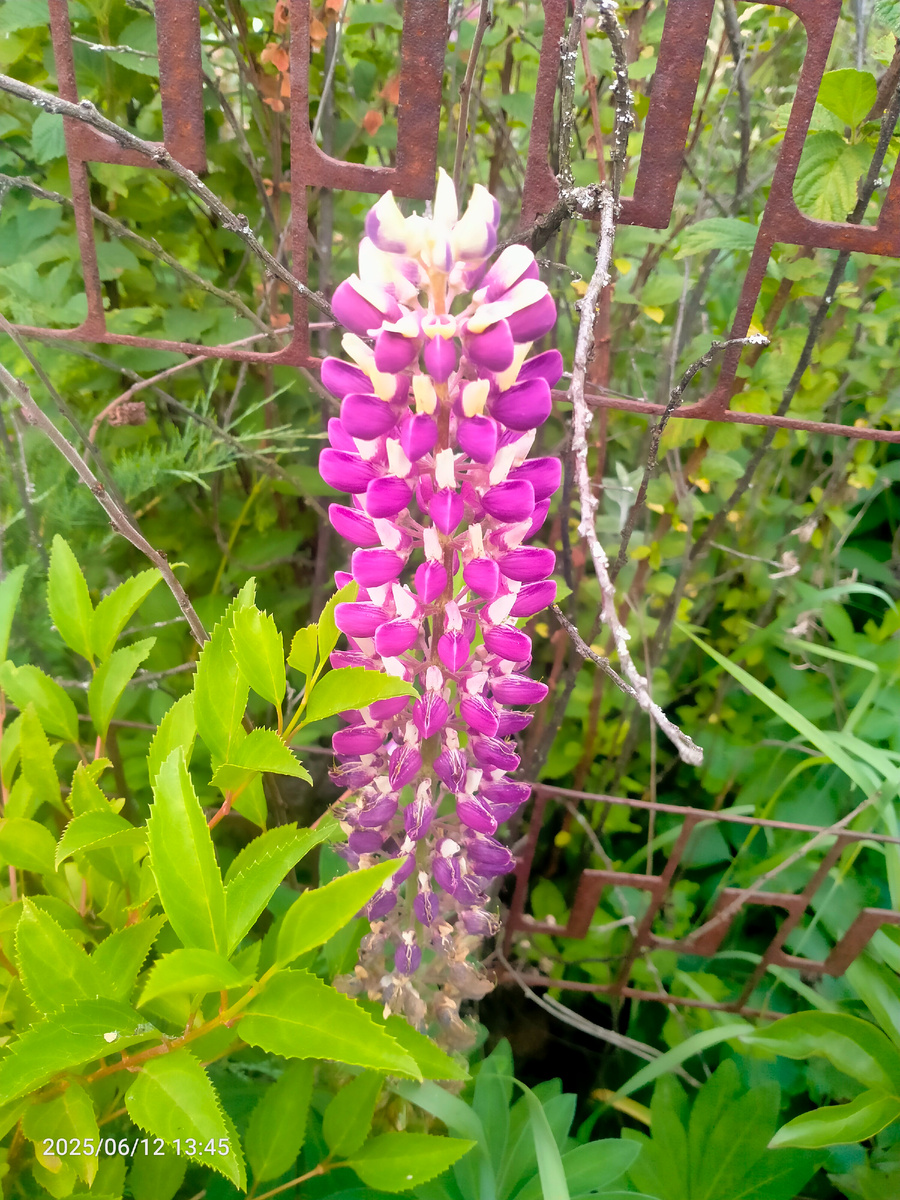 Фотография автора 