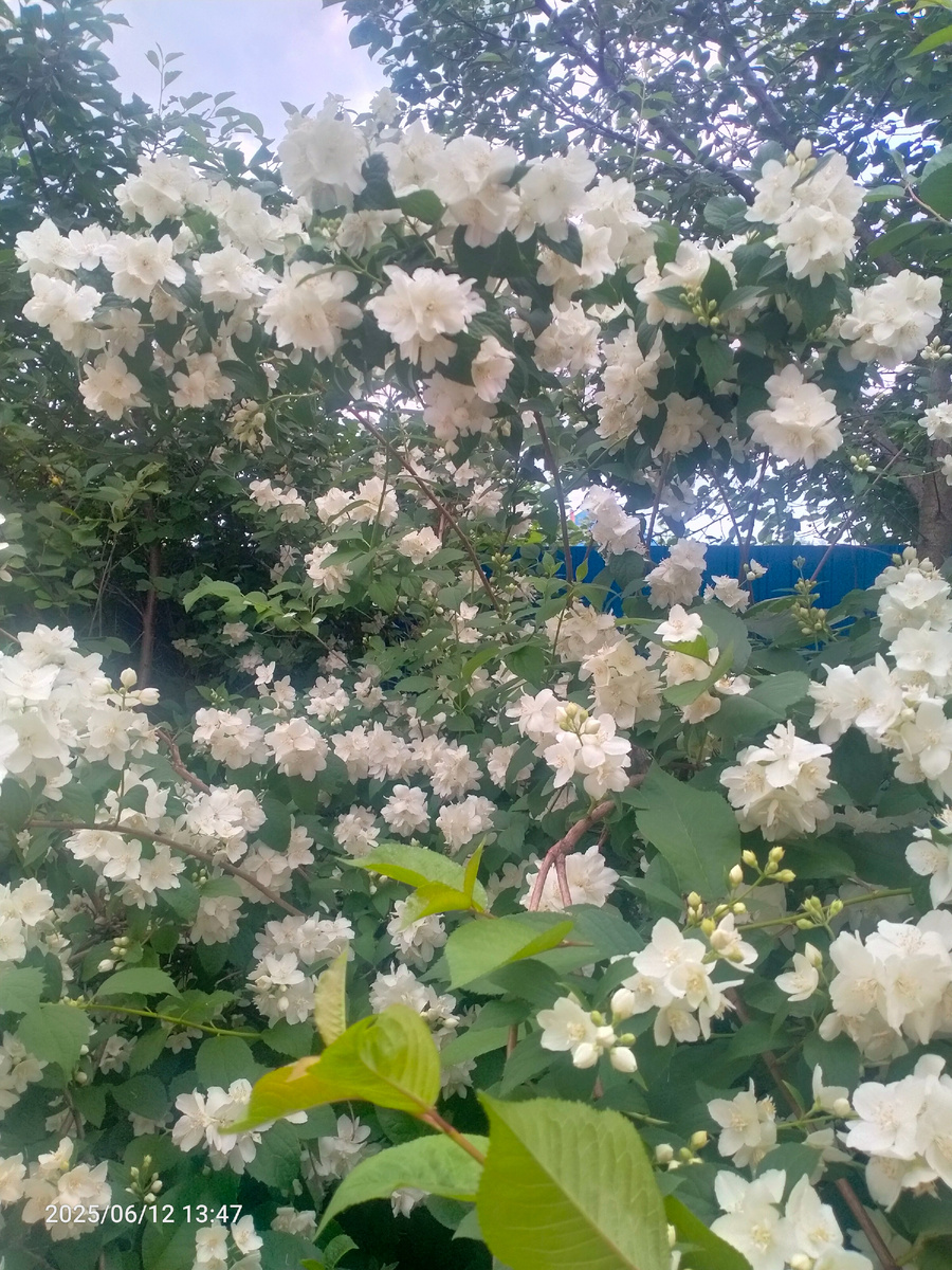 Фотография автора 