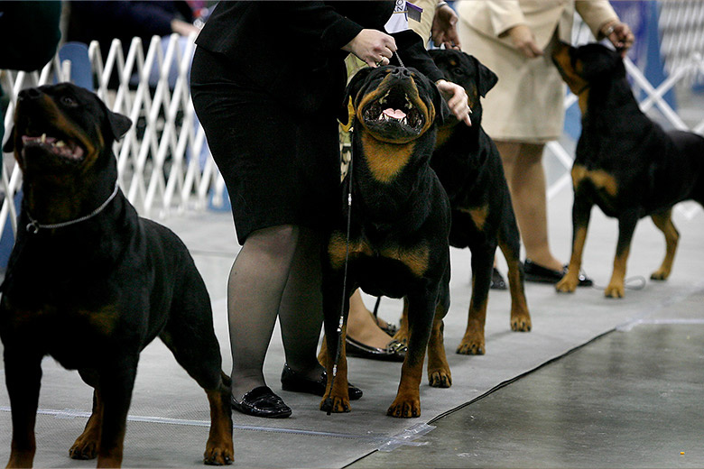    Flores Elizabeth/Global Look Press