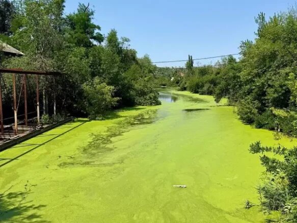    Река Гнилуша. Фото: соцсети