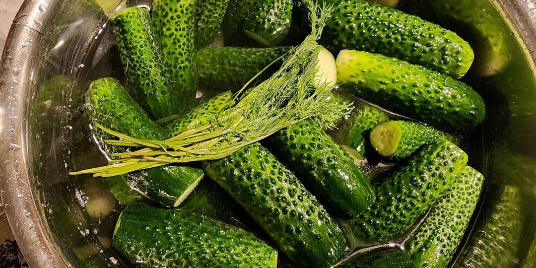 Простой и вкусный рецепт маринованных огурцов на зиму