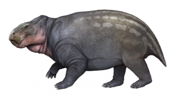 Ишигуаластия от Габриэля Угуэто.