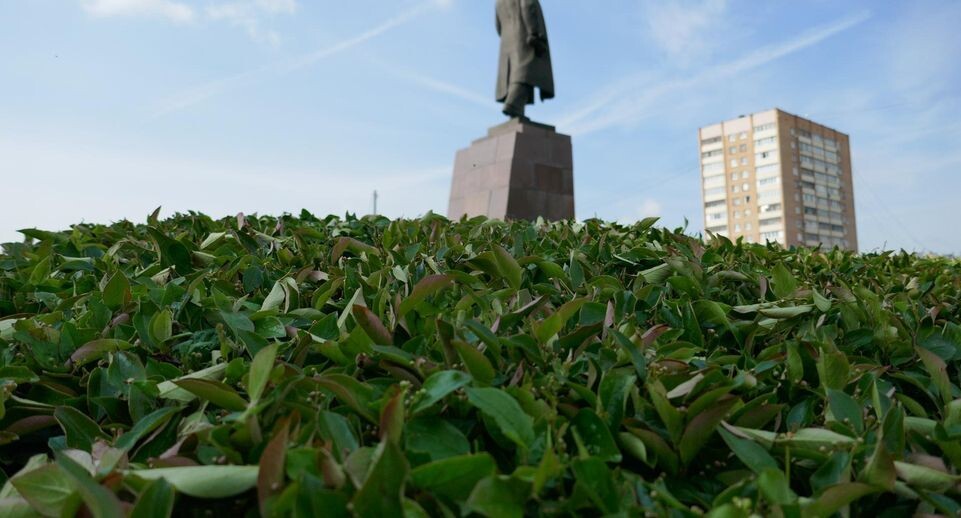    Памятник В. И. Ленину в центре Подольска / МедиаБанк Подмосковья (Автор: Андрюхина Мария)