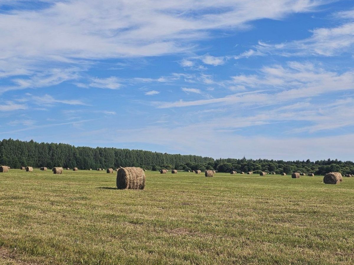    В Нижегородской области выполнено более половины запланированного объема кормозаготовительных работ