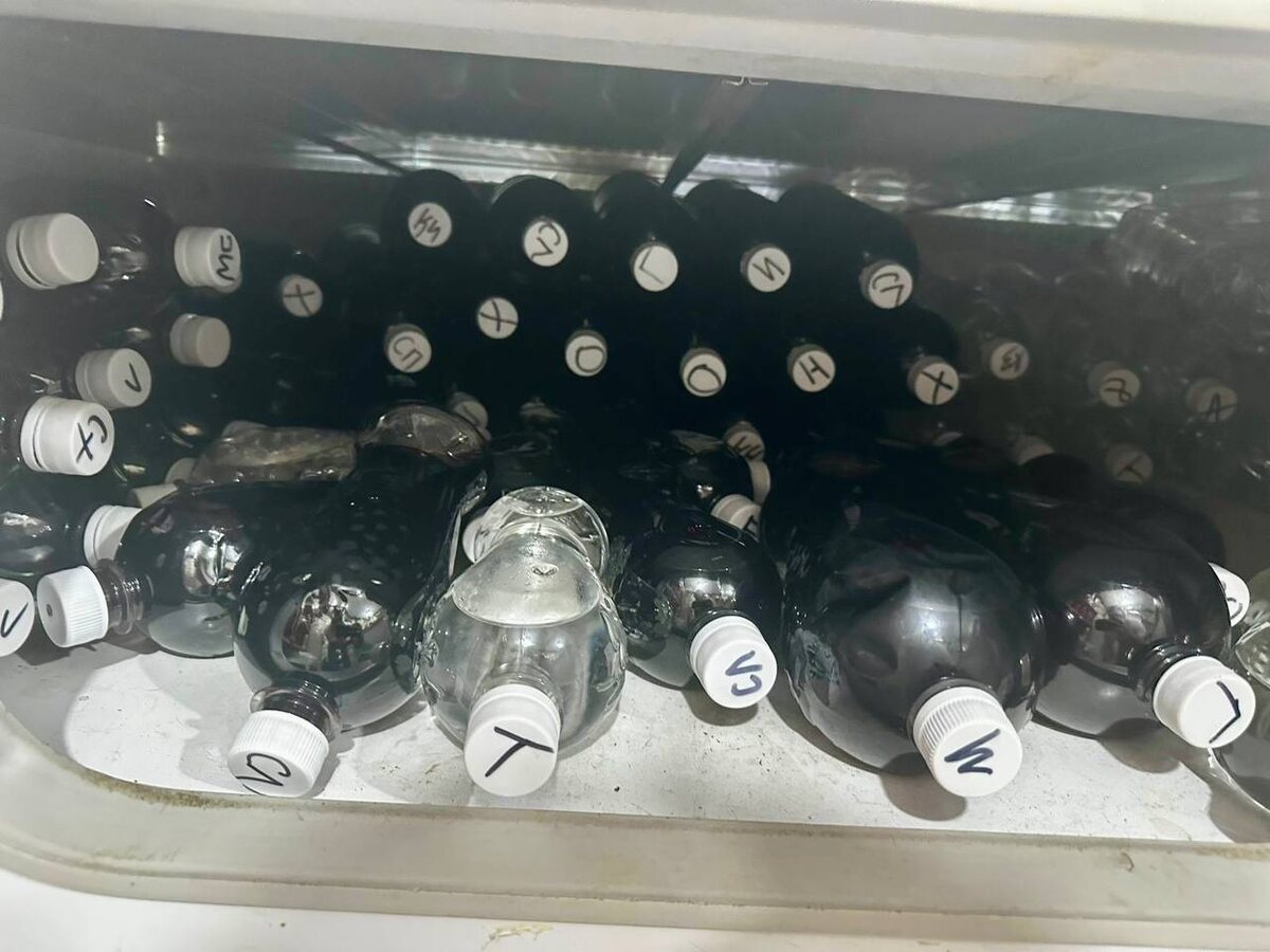    Фото: Telegram\Полиция Сочи