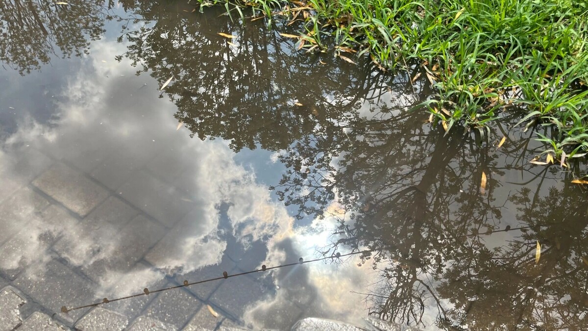     Автор: Алёна Мальцева Источник: bel.ru