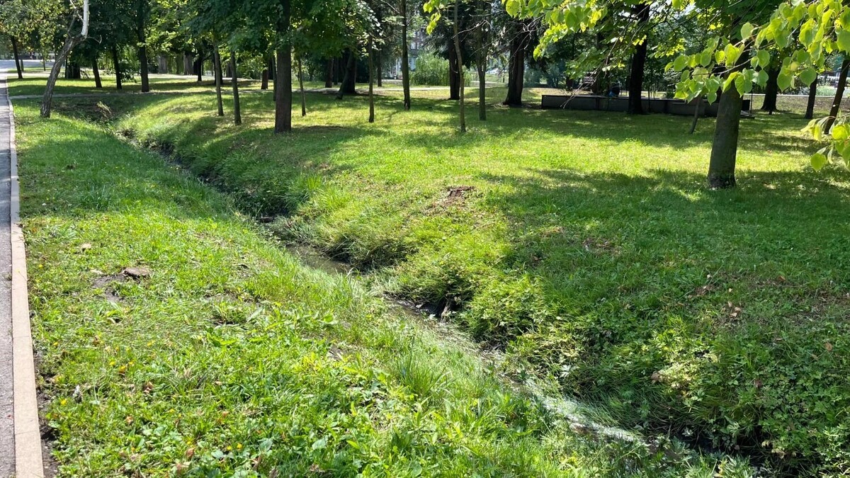     Автор: Алёна Мальцева Источник: bel.ru